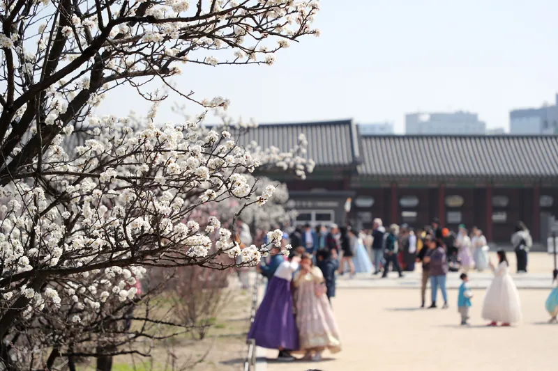 경복궁