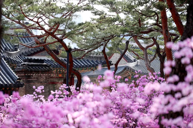 덕수궁