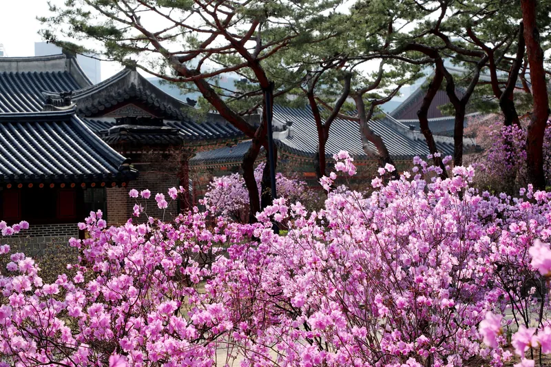덕수궁