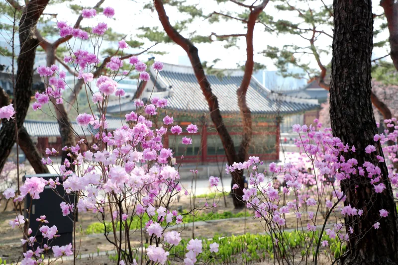 덕수궁