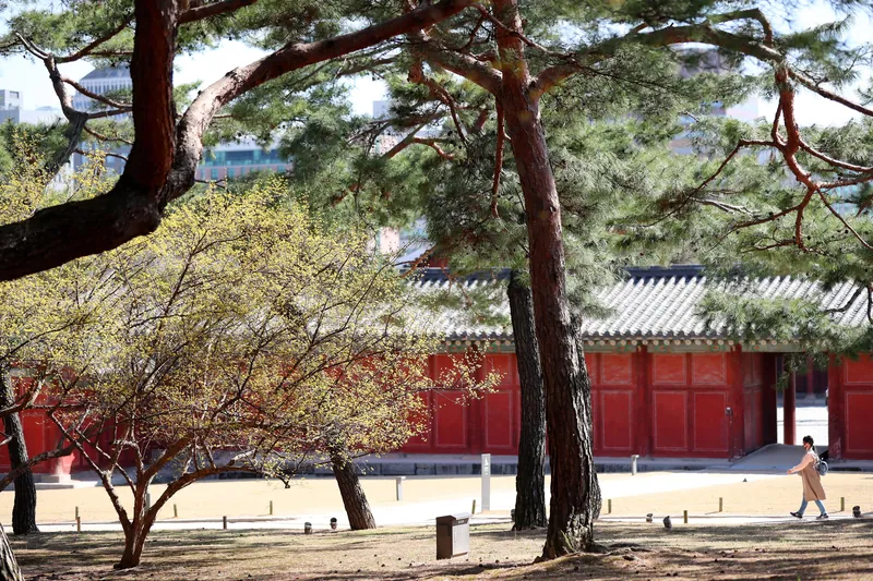 창경궁