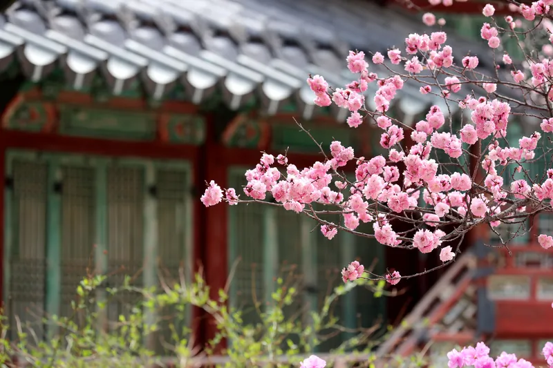 창덕궁