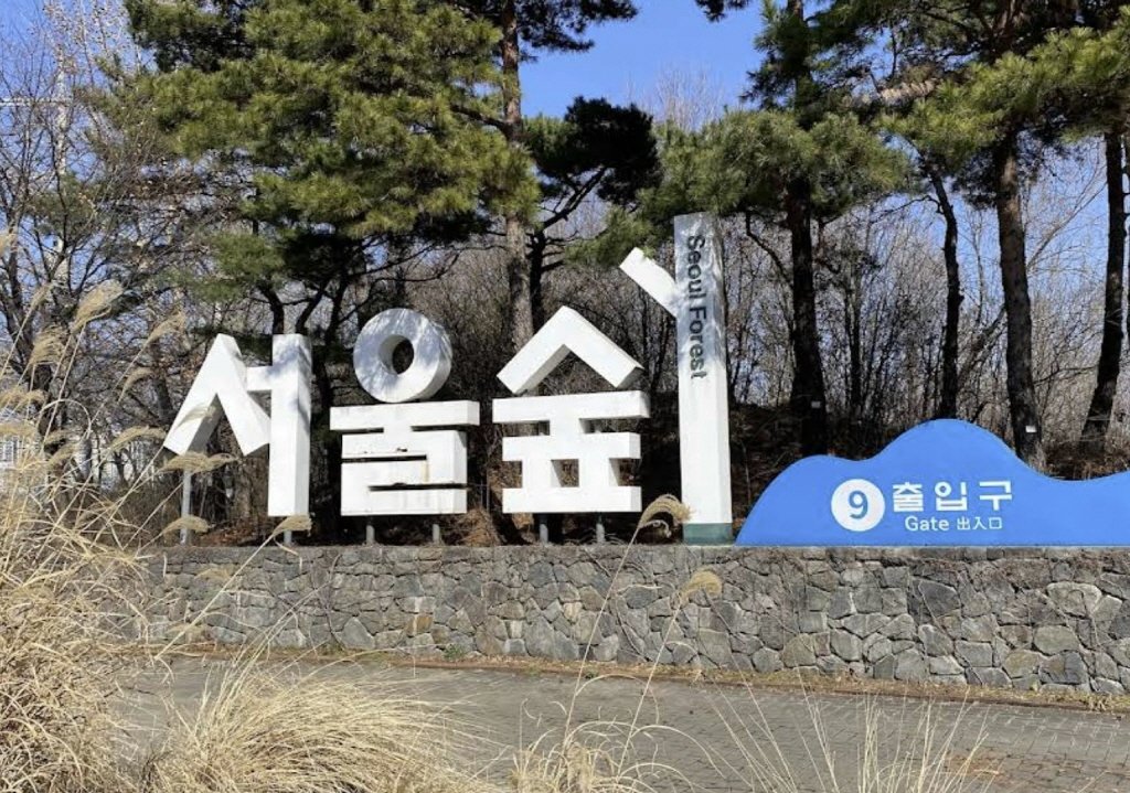 성수동_서울숲