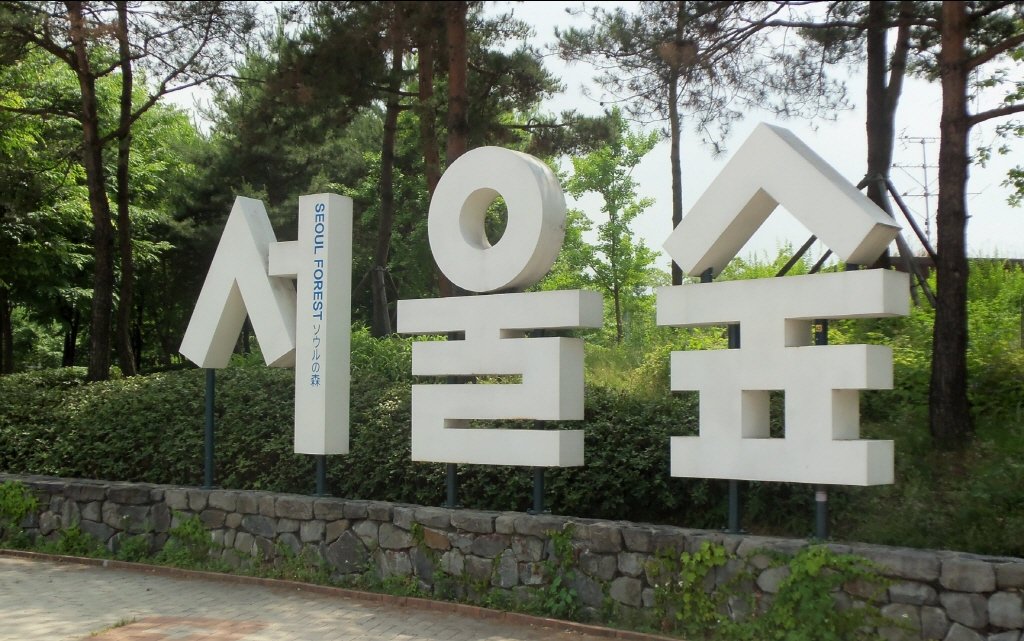 성수동_서울숲 