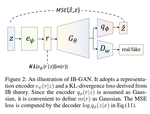 IB-GAN ARCHITECTURE