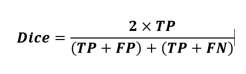  the Dice Similarity Coefficient 