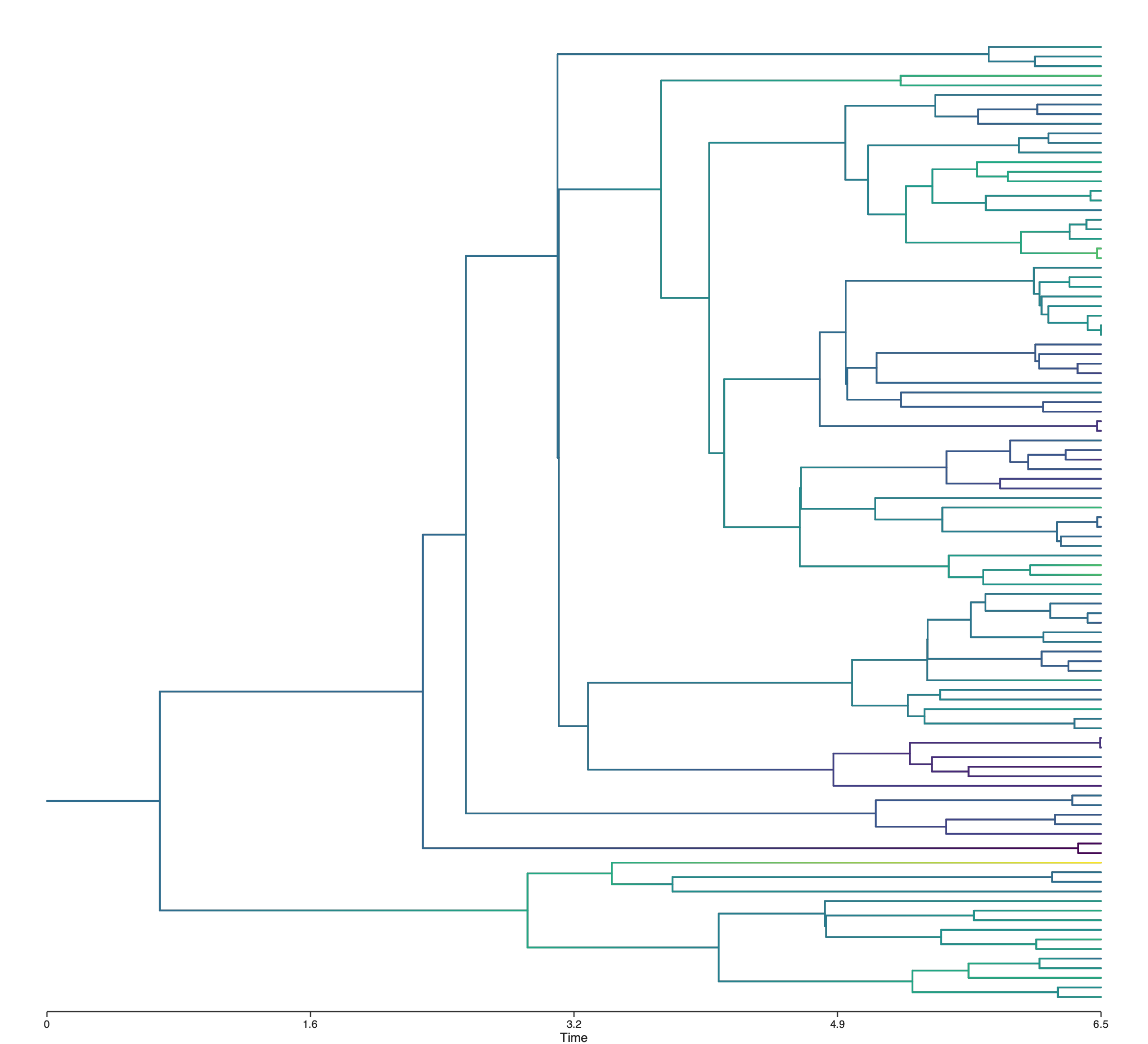 A 100-tip tree with branches coloured by a Brownian-motion trait