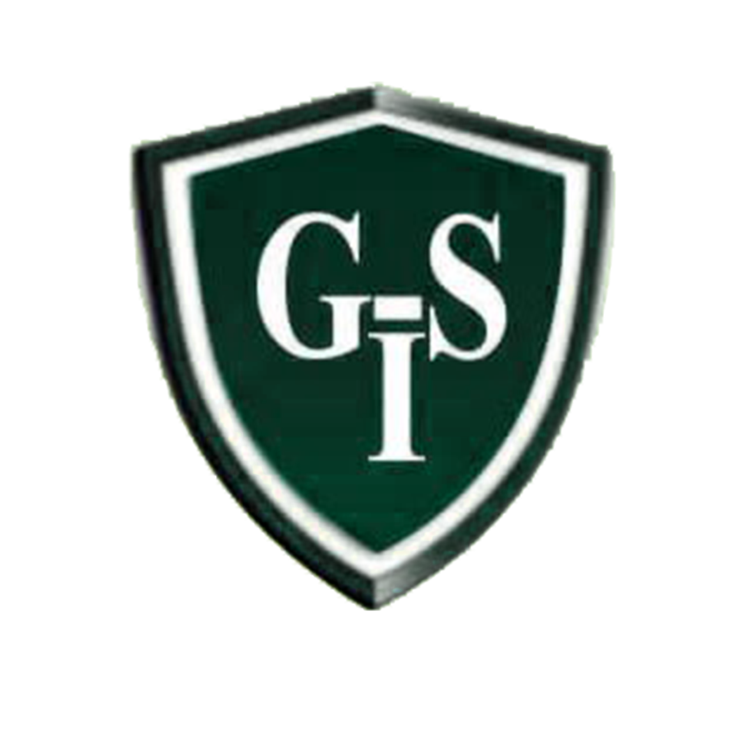GSI-TECH