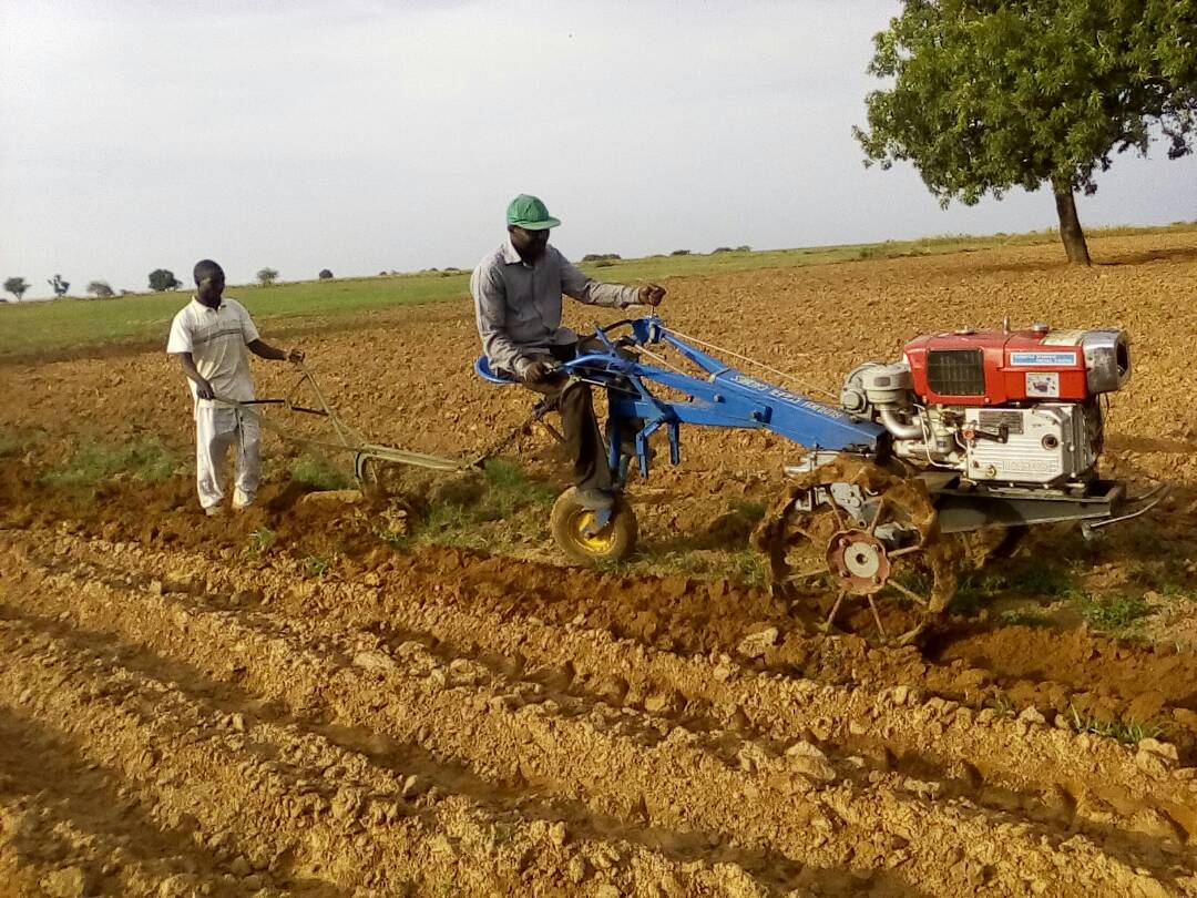 Agribusiness Services