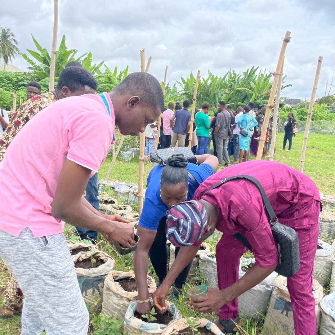 Planting