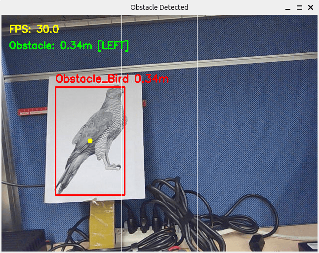 Obstacle_detected_demo