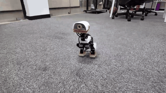 Microduck 实机行走
