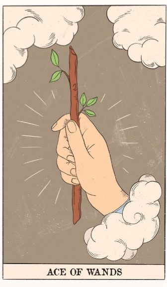 Fortune Compass ace-of-wands.jpg