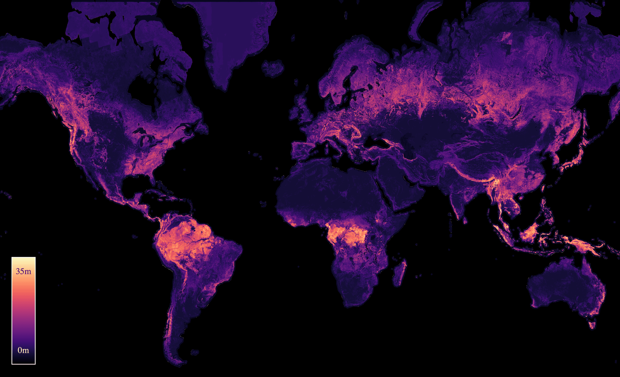 Global canopy height map