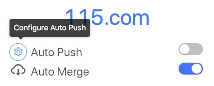 Config Auto Push Entry