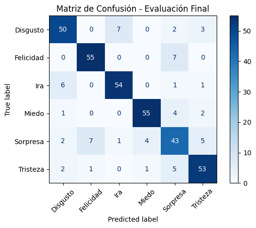 Confusion matrix, fine-tuned classifier head