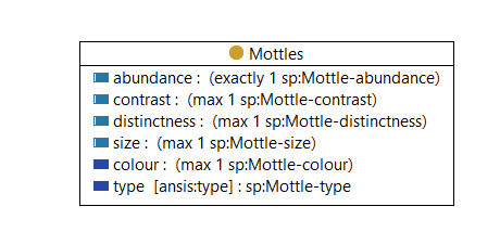 Mottles - class diagram