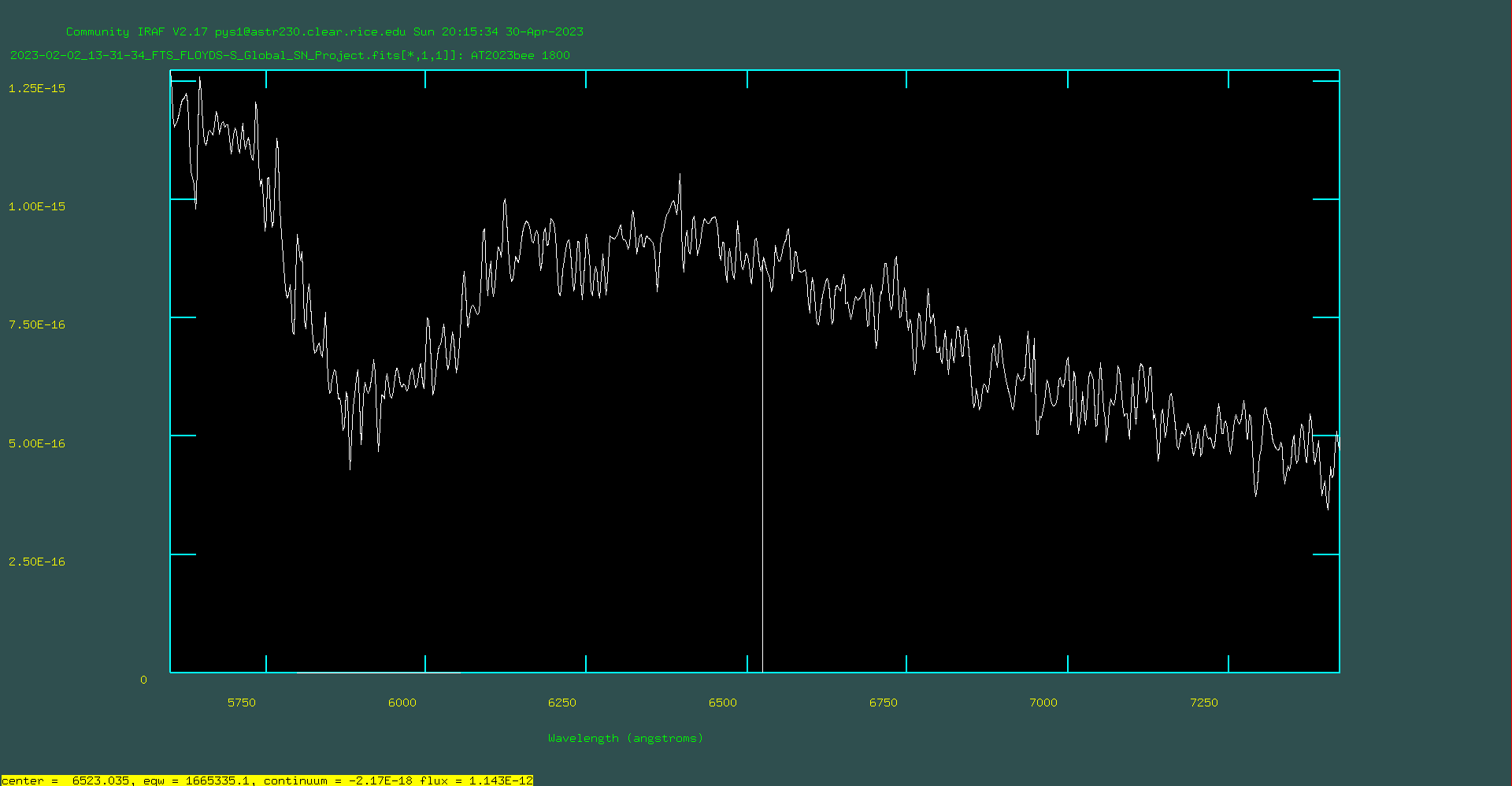 BEE spectra