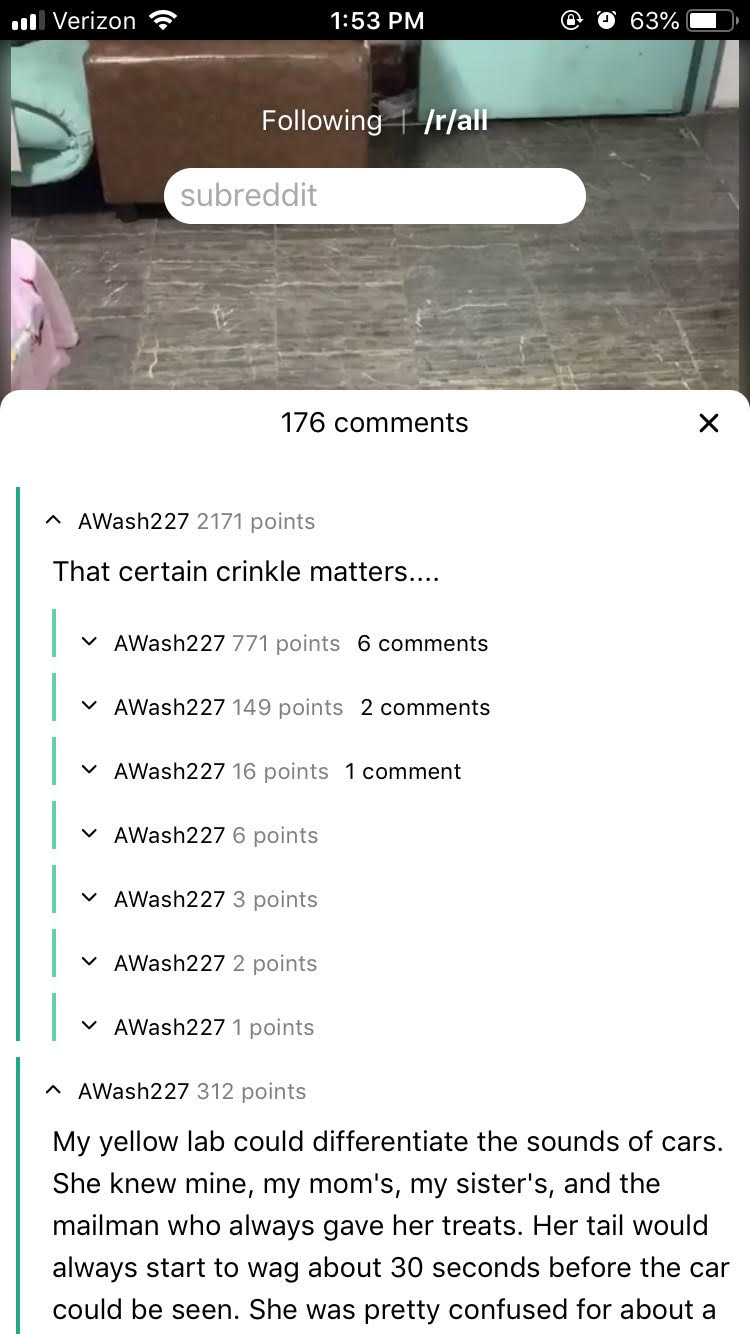 Reddit But Its Tiktok