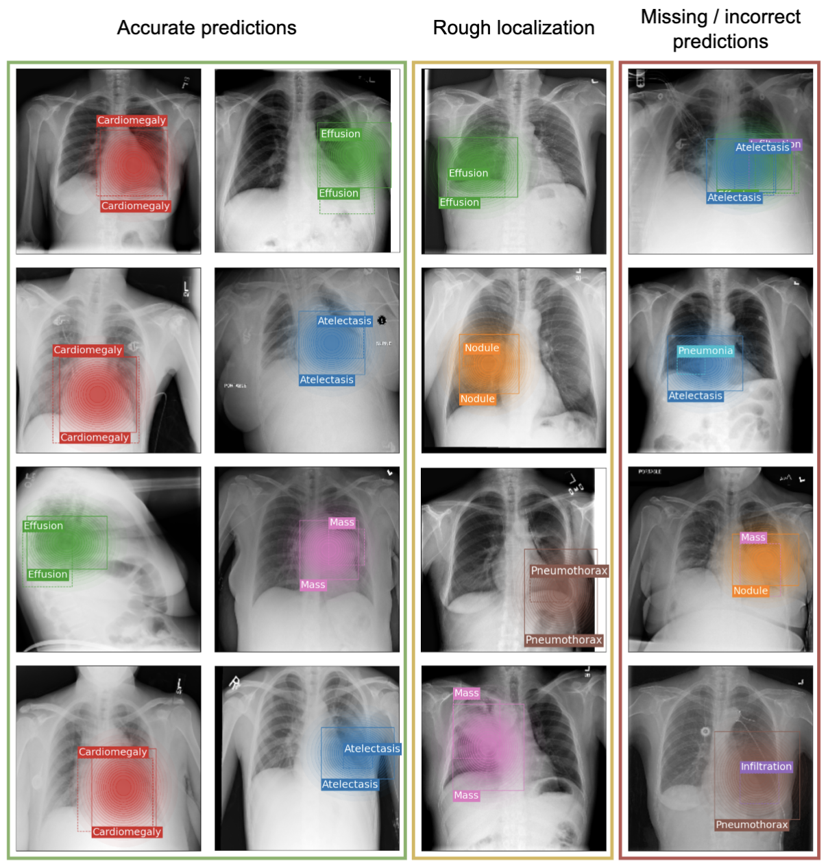 Results per pathology