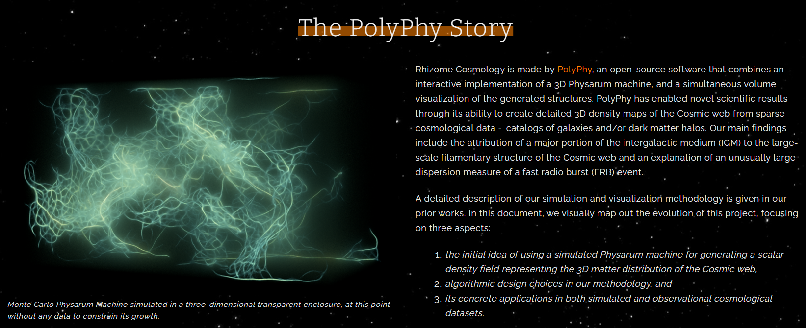 Polyphystory Image