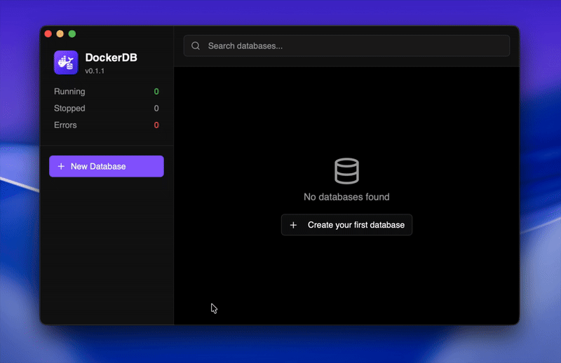 Docker DB Manager Interface