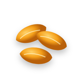 Dried mango