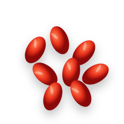 Goji berries