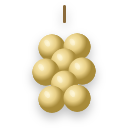 Langsat