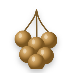 Longan