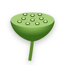 Lotus seed pod