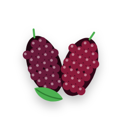 Mulberry