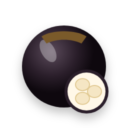 Sugar palm fruit