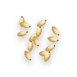 Pine nuts