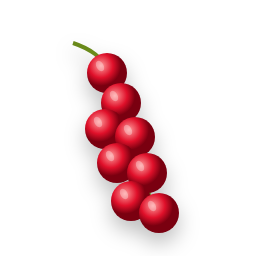 Red currant