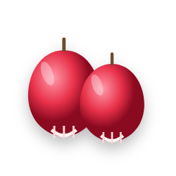 Wax apple