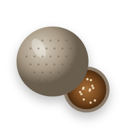 Wood apple
