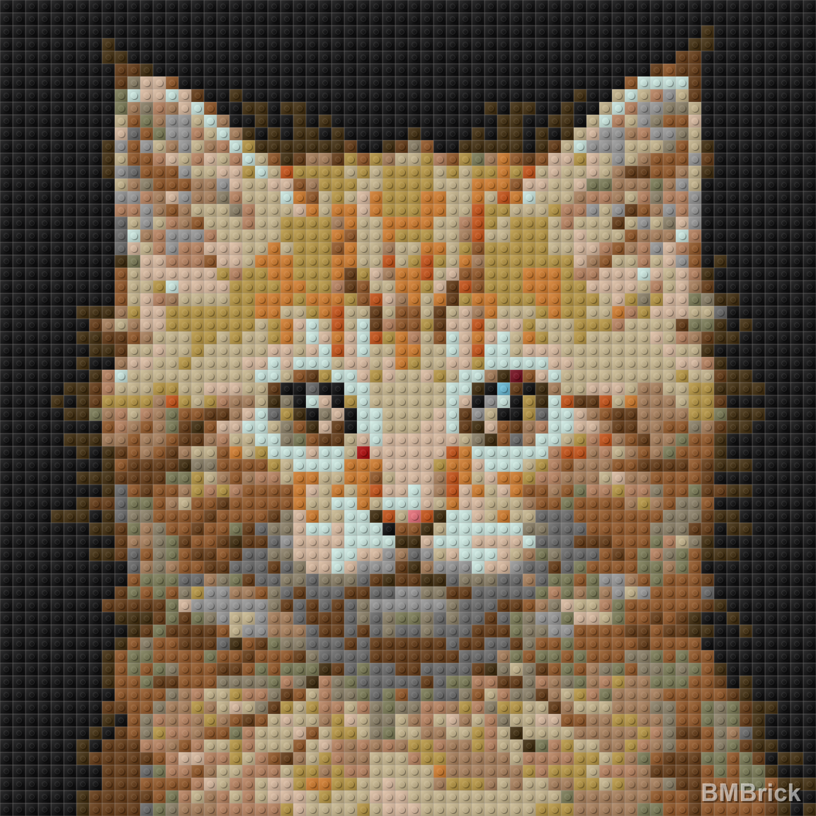64x64