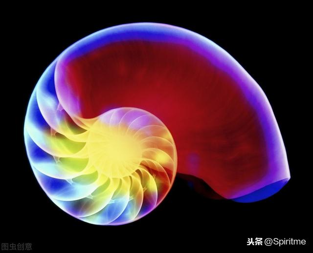 Shell脚本编程第一课：构成程序的7个基本元素