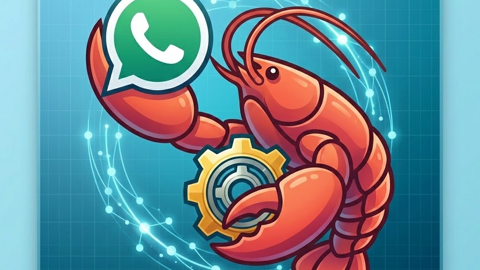 Kapso WhatsApp