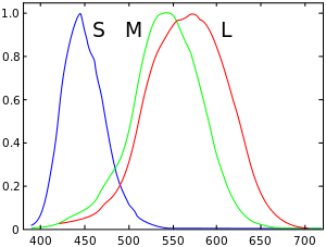 三种细胞对光波的敏感度