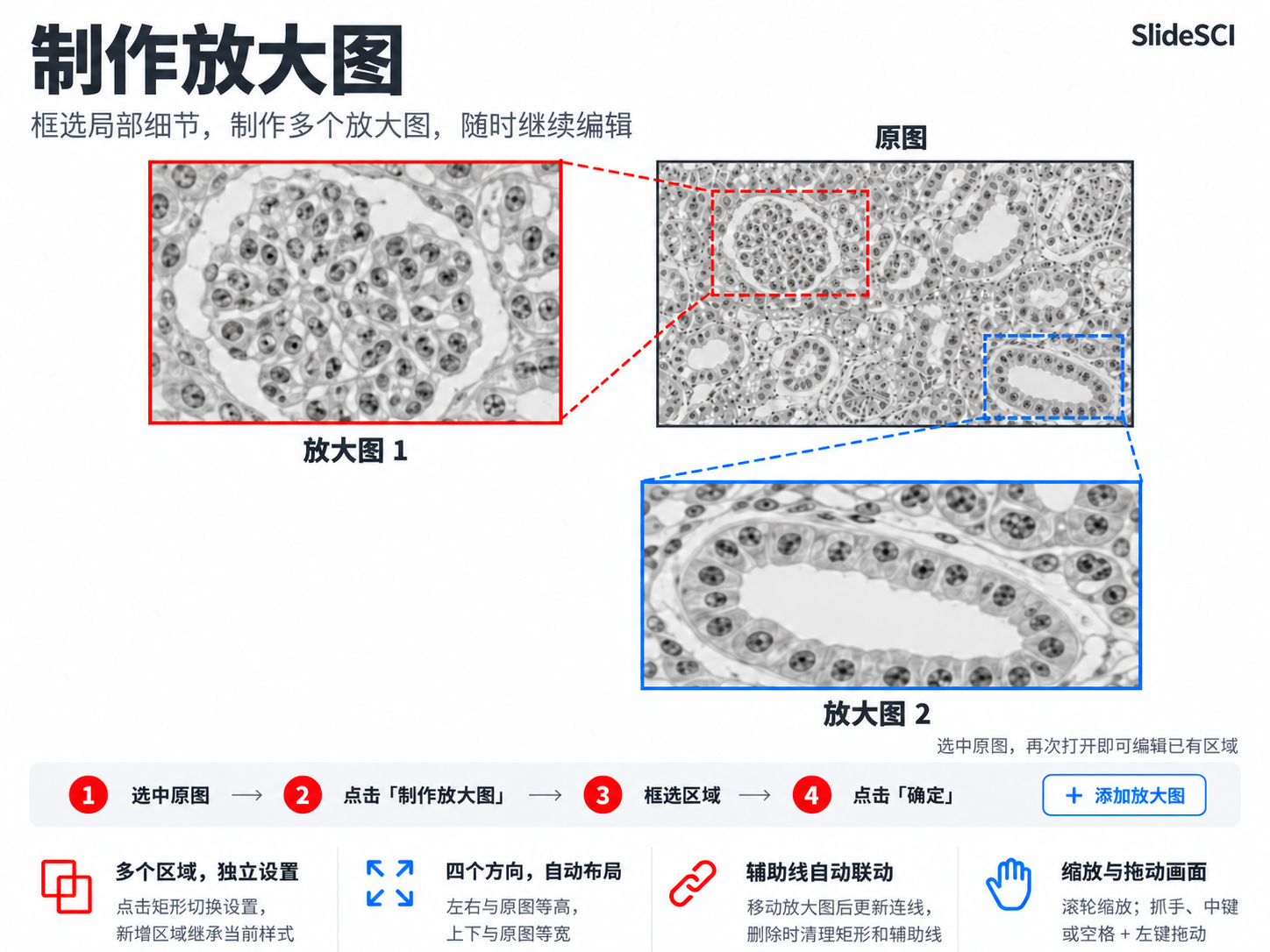 制作放大图:多个区域、独立设置、自动布局和辅助线联动