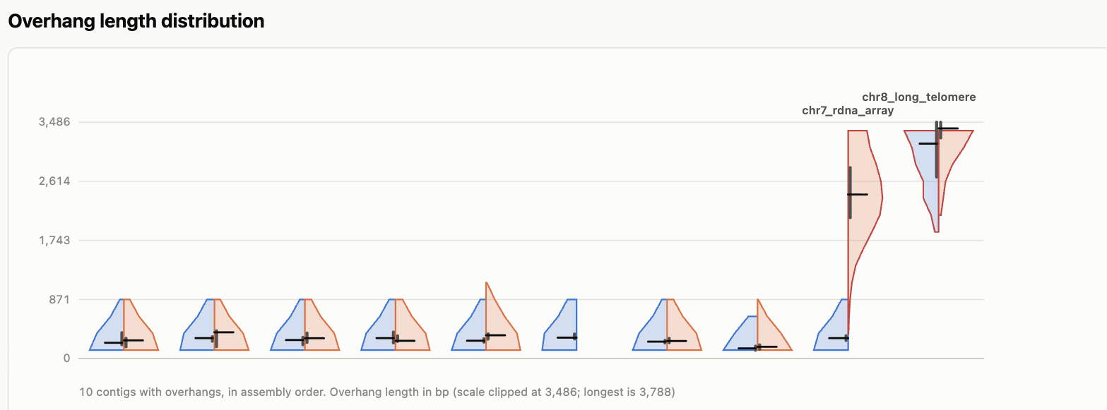 Split violin plot of overhang length distributions per contig