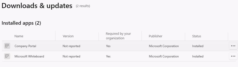 Company Portal installed application view