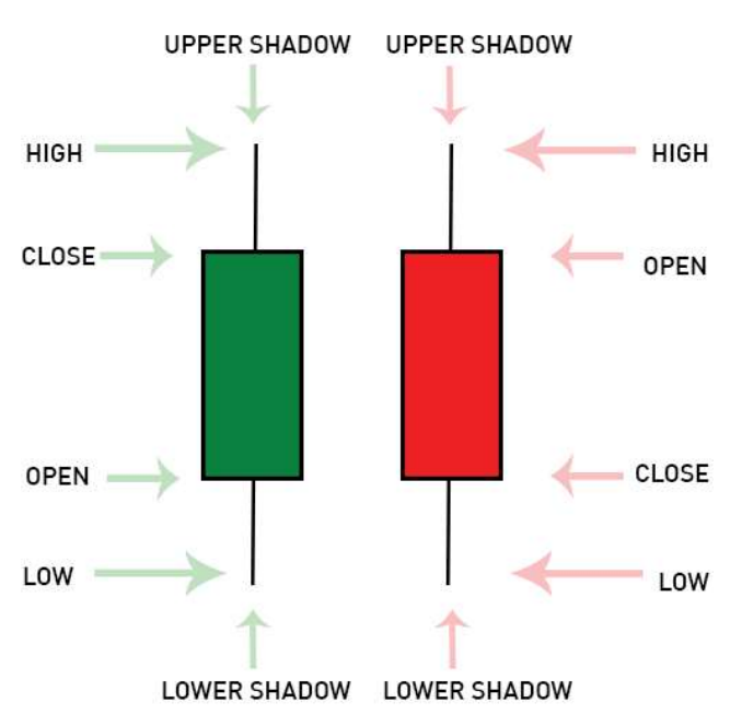 Basics of Stock Market | Adithya Vijay