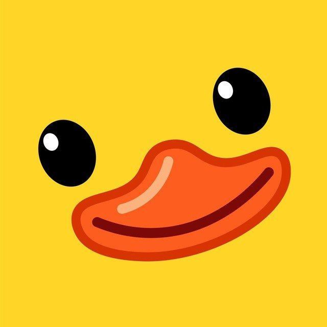 The Code Duck