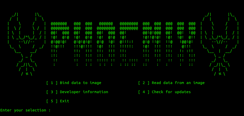 Phoenix project interface showing tool-building and system implementation