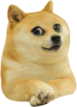 KidDoge