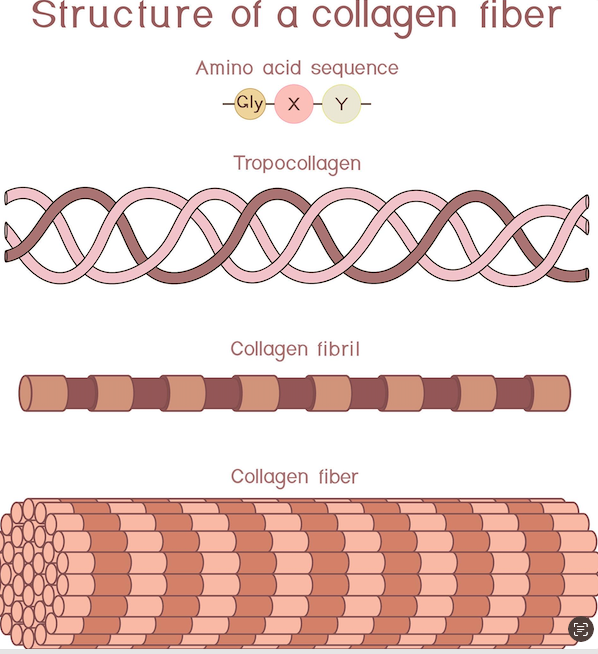Sequence design