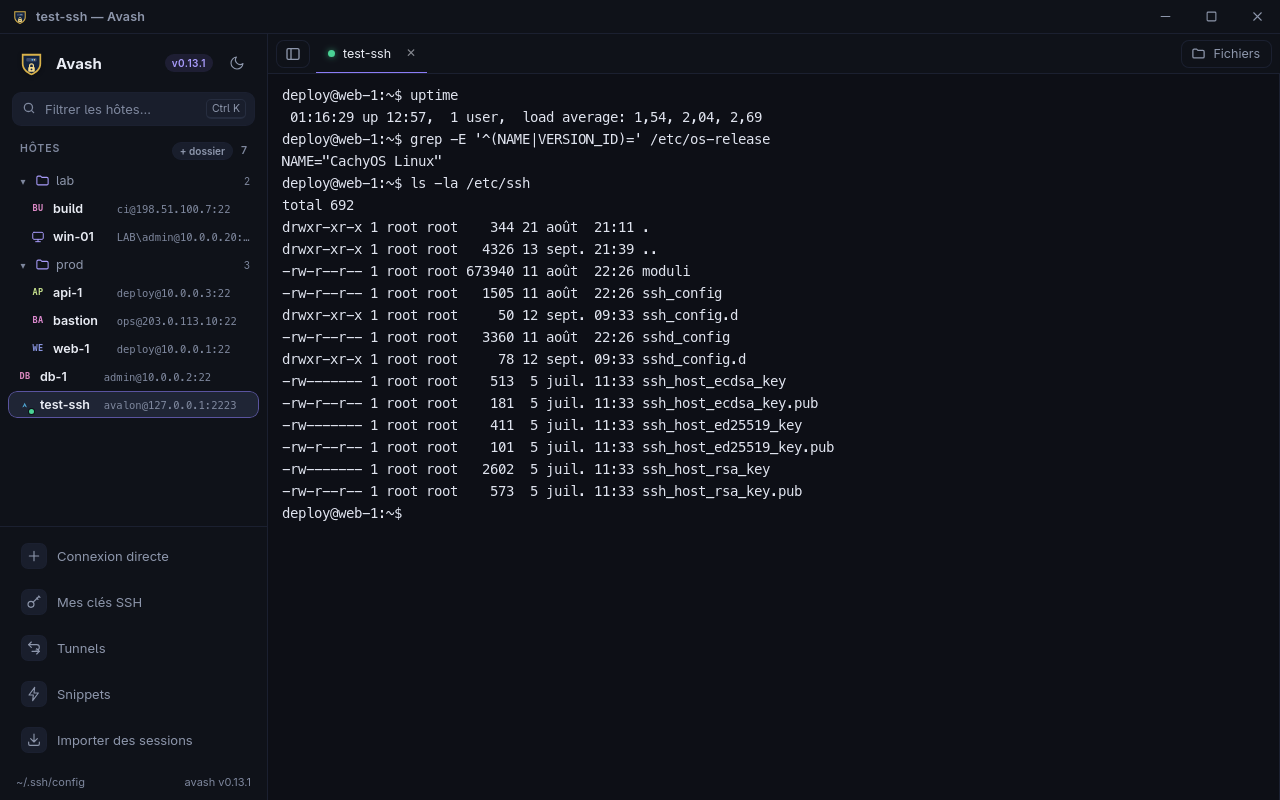 Capture réelle d’Avash : un terminal SSH, les hôtes enregistrés et les outils de connexion.